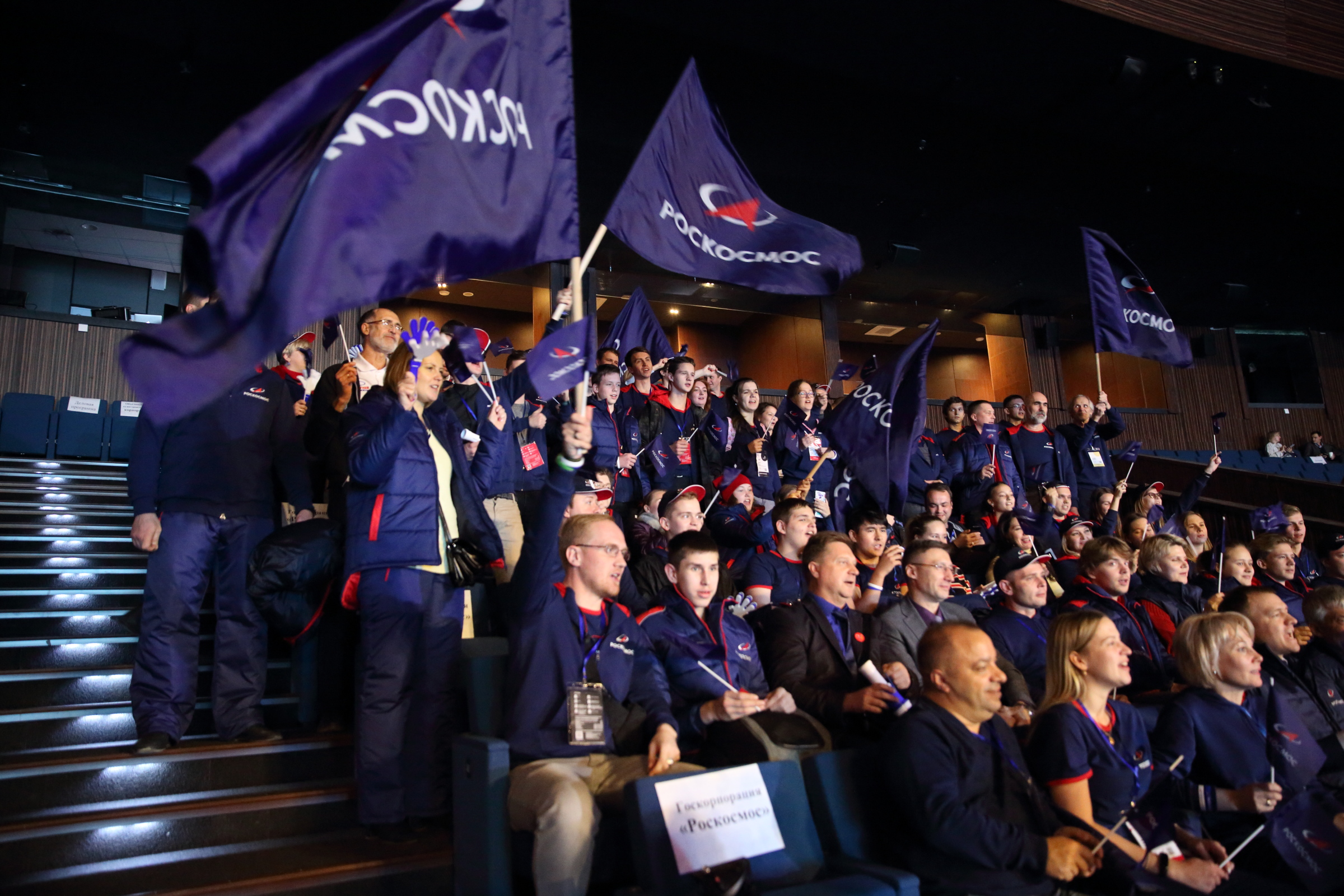 Картинка 231)